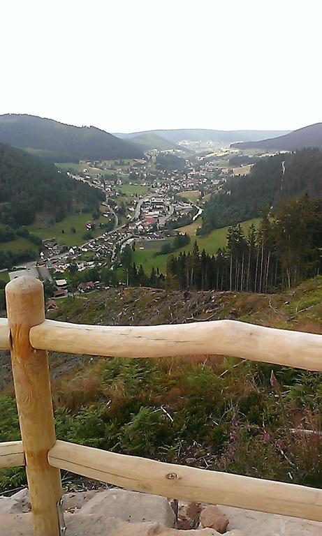 Martina Frey Ferienwohnungen Baiersbronn Exterior foto
